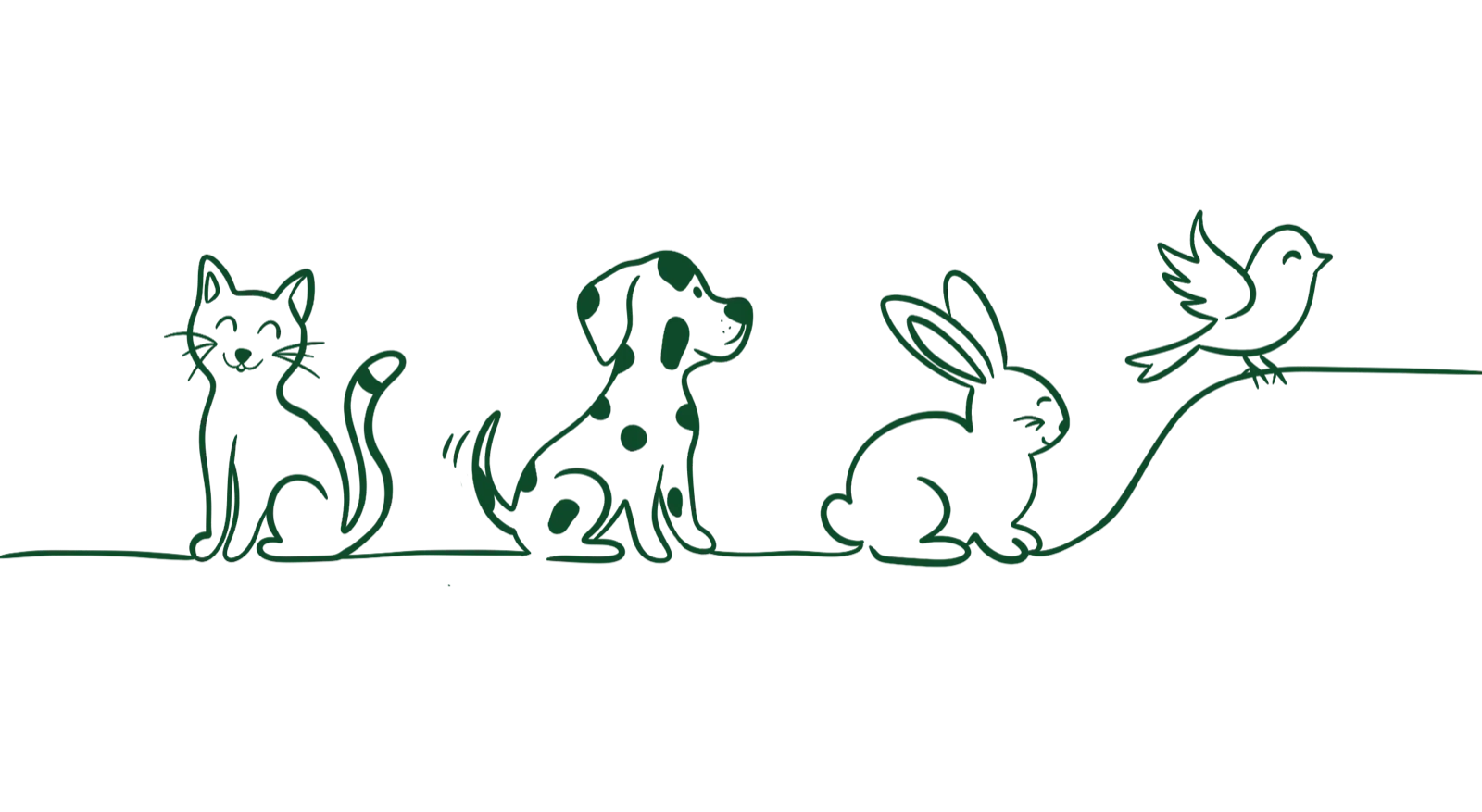 A cat, a dog, a rabbit and a bird drawn in a single continuous line
