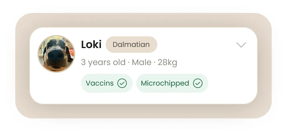 A pet card showing Loki, a dalmatian, with its vaccination and microchip status